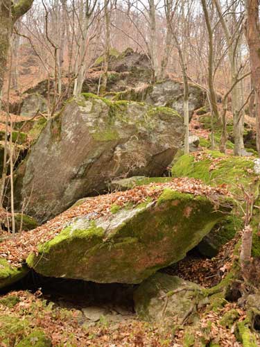 Foto Sisturi intens tectonizate (c) Petru Goja